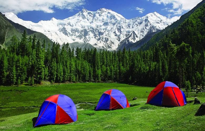 Three dome tents on a green meadow in front of the Nanga Parbat massif, its glacier and forest belt stretching across the horizon