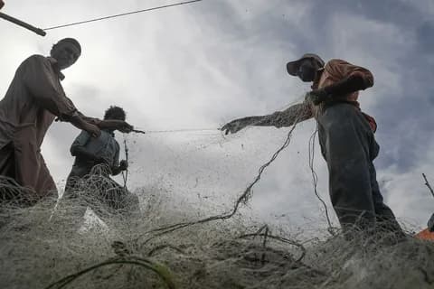 Marine fishing along the Arabian Sea coast