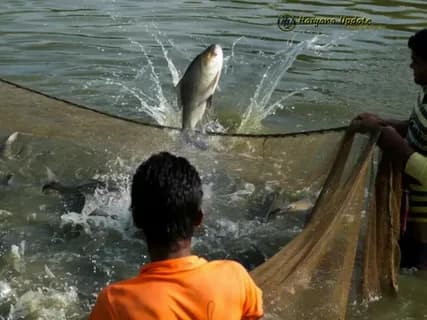 A freshwater fishing trip in Punjab