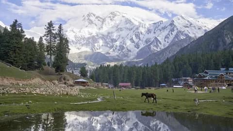 A horse grazing on the Fairy Meadows lawn beside a pool reflecting the snow-covered Nanga Parbat massif and its fringe of pine forest