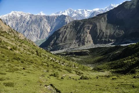 Green alpine slopes falling towards the Hunza valley with a wall of snow peaks on the horizon
