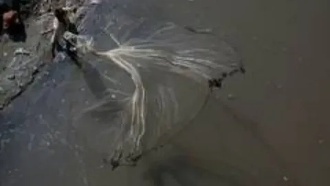 Freshwater fishing for Mahseer in Punjab