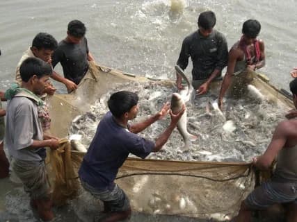 An angler fishing at a barrage in Punjab