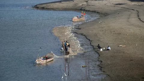 Freshwater fishing in the rivers of Punjab