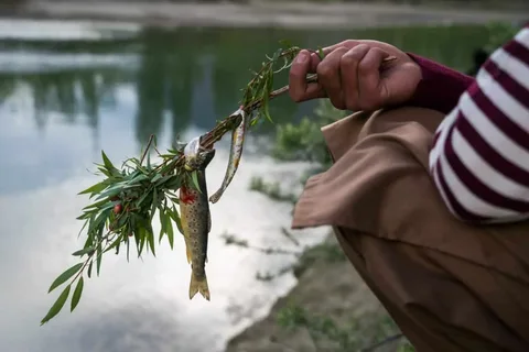An angler fishing for trout in Gilgit-Baltistan