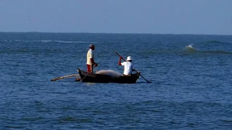 Freshwater fishing on the Indus River
