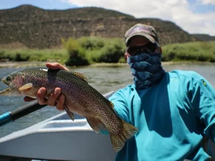 Trout fishing along a mountain stream