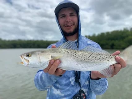 Fly fishing for trout in a mountain river