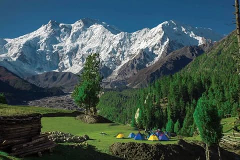 Colourful trekking tents pitched on grass below the white massif of Nanga Parbat, tall pines and a stack of logs in the foreground