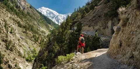 Hiker on a forest trail in a green valley with snow peaks ahead