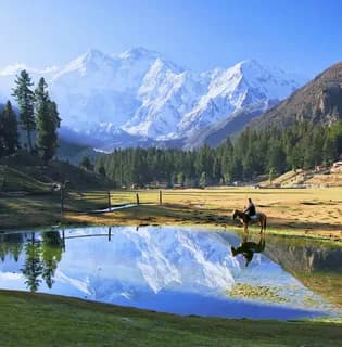 Horse grazing beside a mirror-still pond reflecting snow peaks