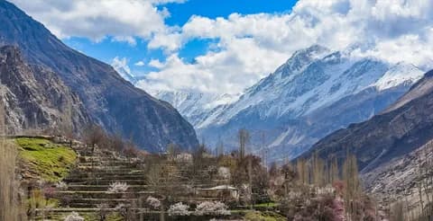 Cherry blossoms in bloom in a Hunza valley