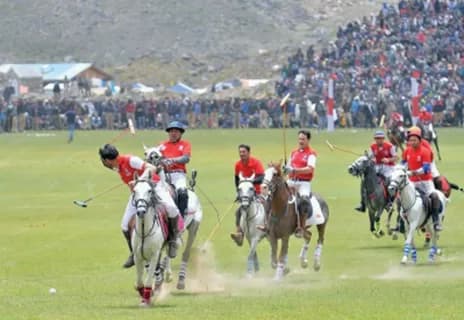 Polo ponies at a festival